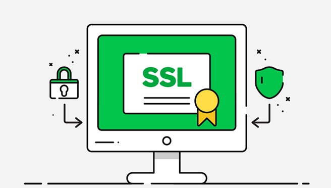 SSL Sertifikası (1 Yıllık)