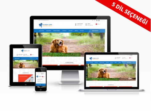 Hazır Web Sitesi - Ayyıldız