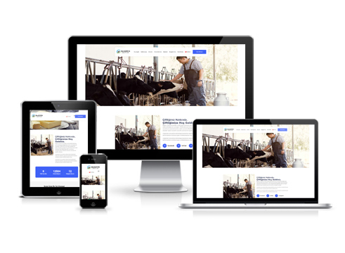 Hazır Web Sitesi - V14