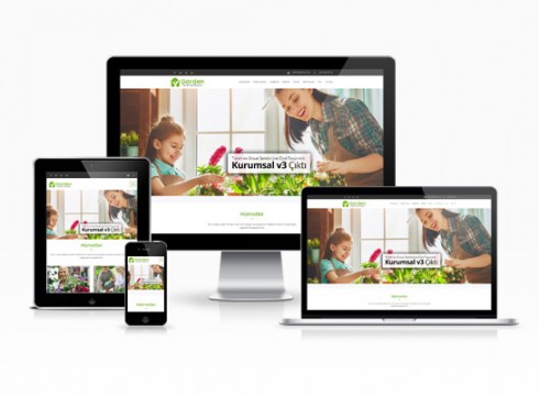Hazır Web Sitesi - Ayyıldız