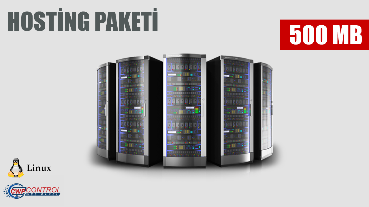 Web Hosting Paketi 500 MB Yıllık