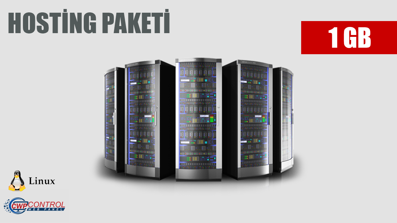 Web Hosting Paketi 1 GB Yıllık