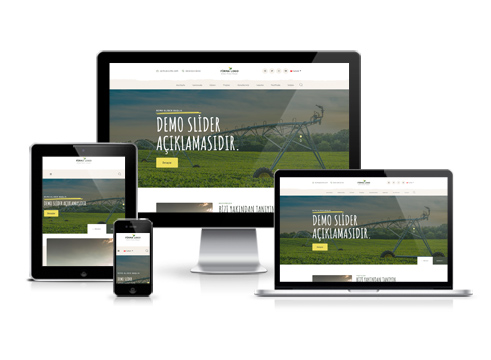 Hazır Web Sitesi - Servi