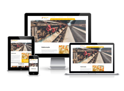 Hazır Web Sitesi-V13
